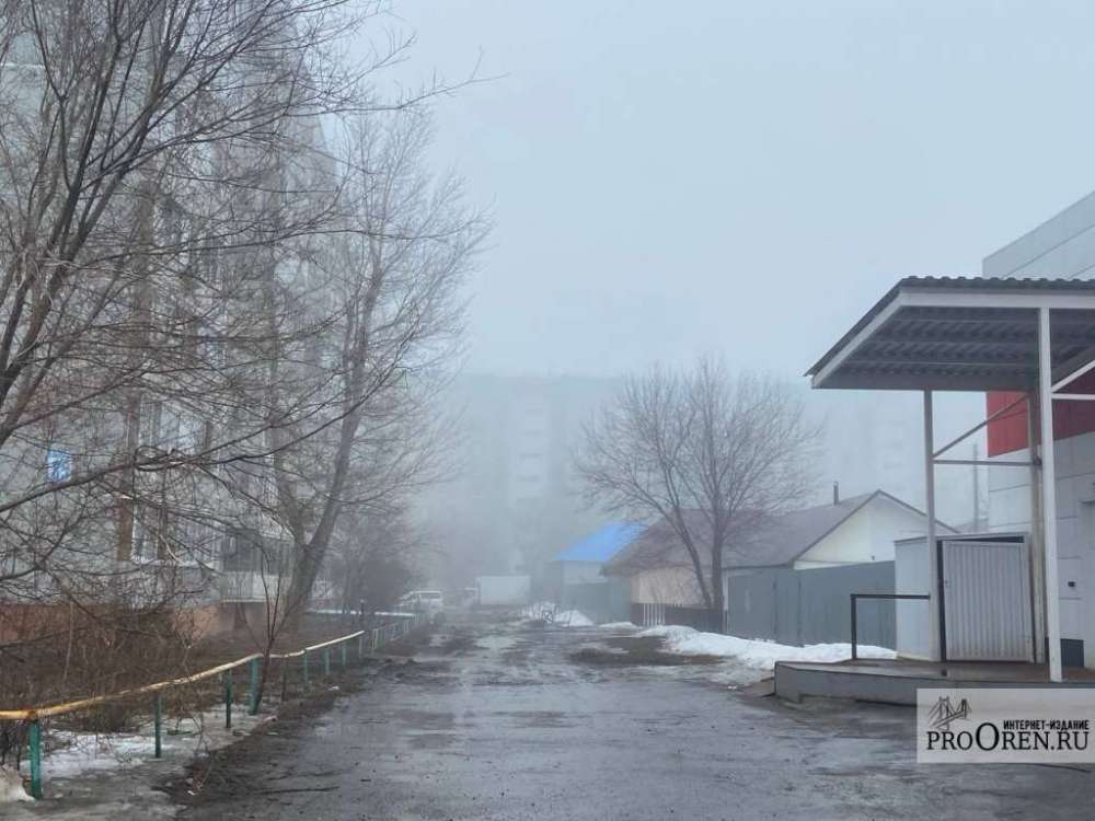 В Оренбуржье 14 марта сохранится туман и изморозь 