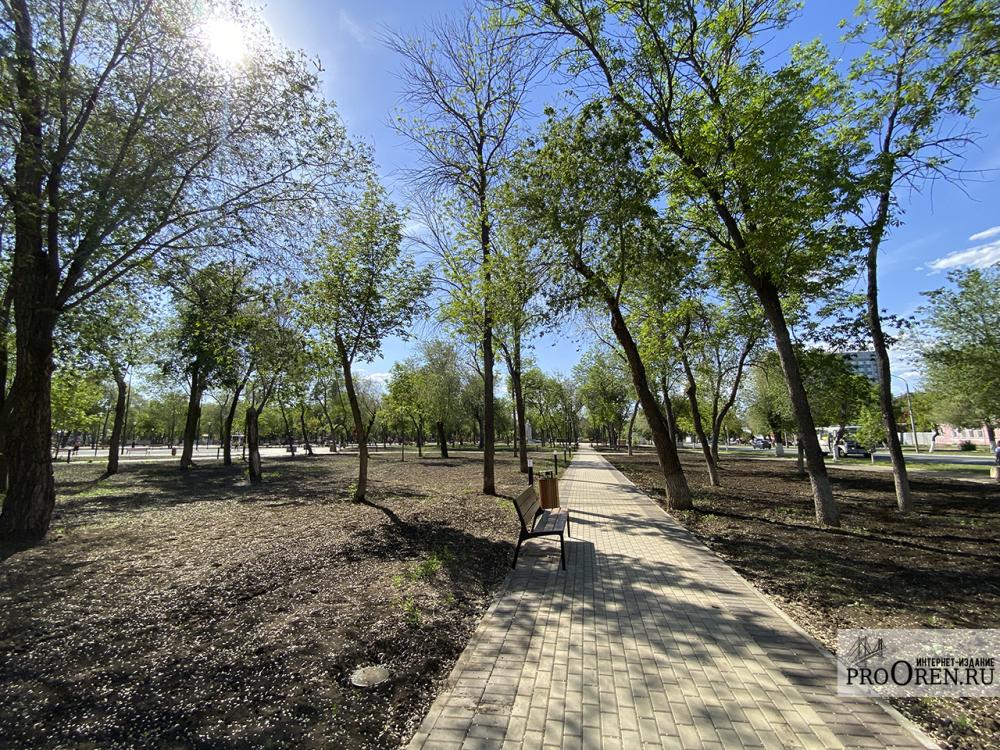 Весенний месячник благоустройства и озеленения стартует в Оренбурге 1 апреля