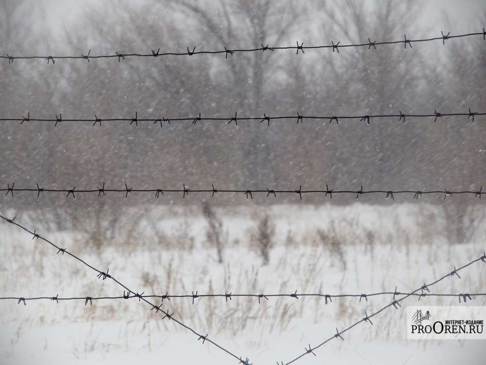Жительница Саракташского района получила 9 лет колонии за убийство матери